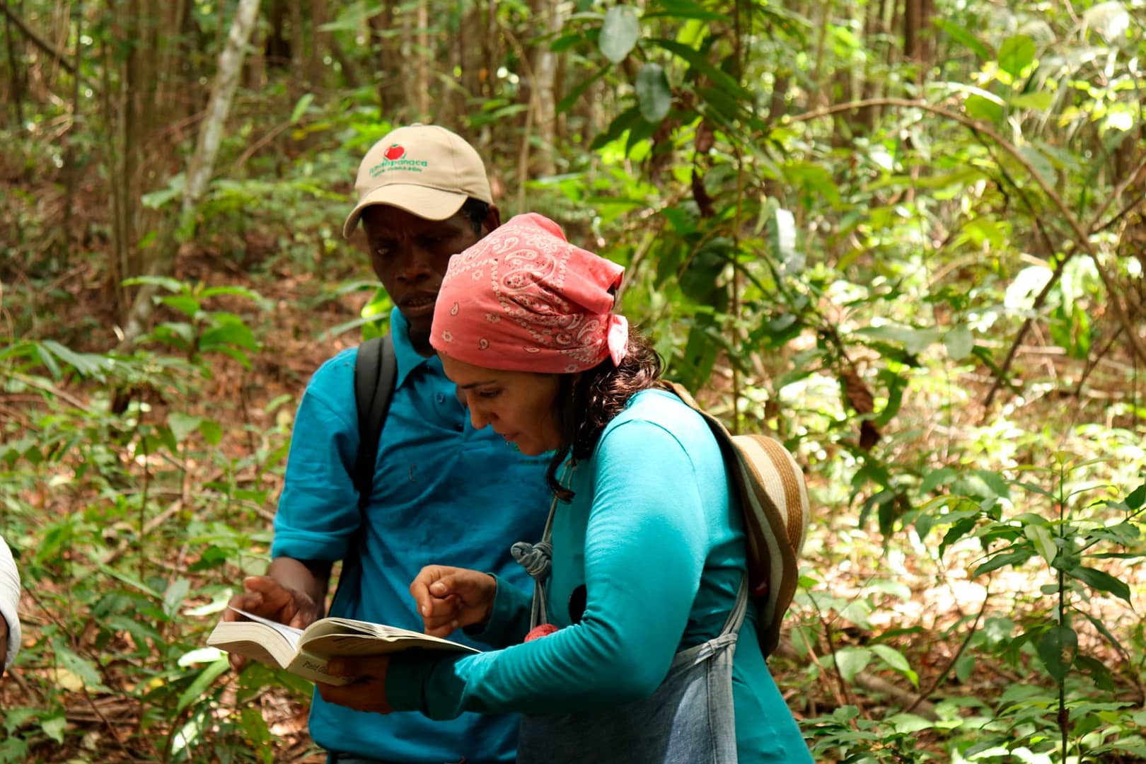 Bosque tropical, Vive la magia en Necocli