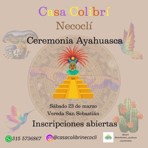 ceremonia de ayahuasca marzo