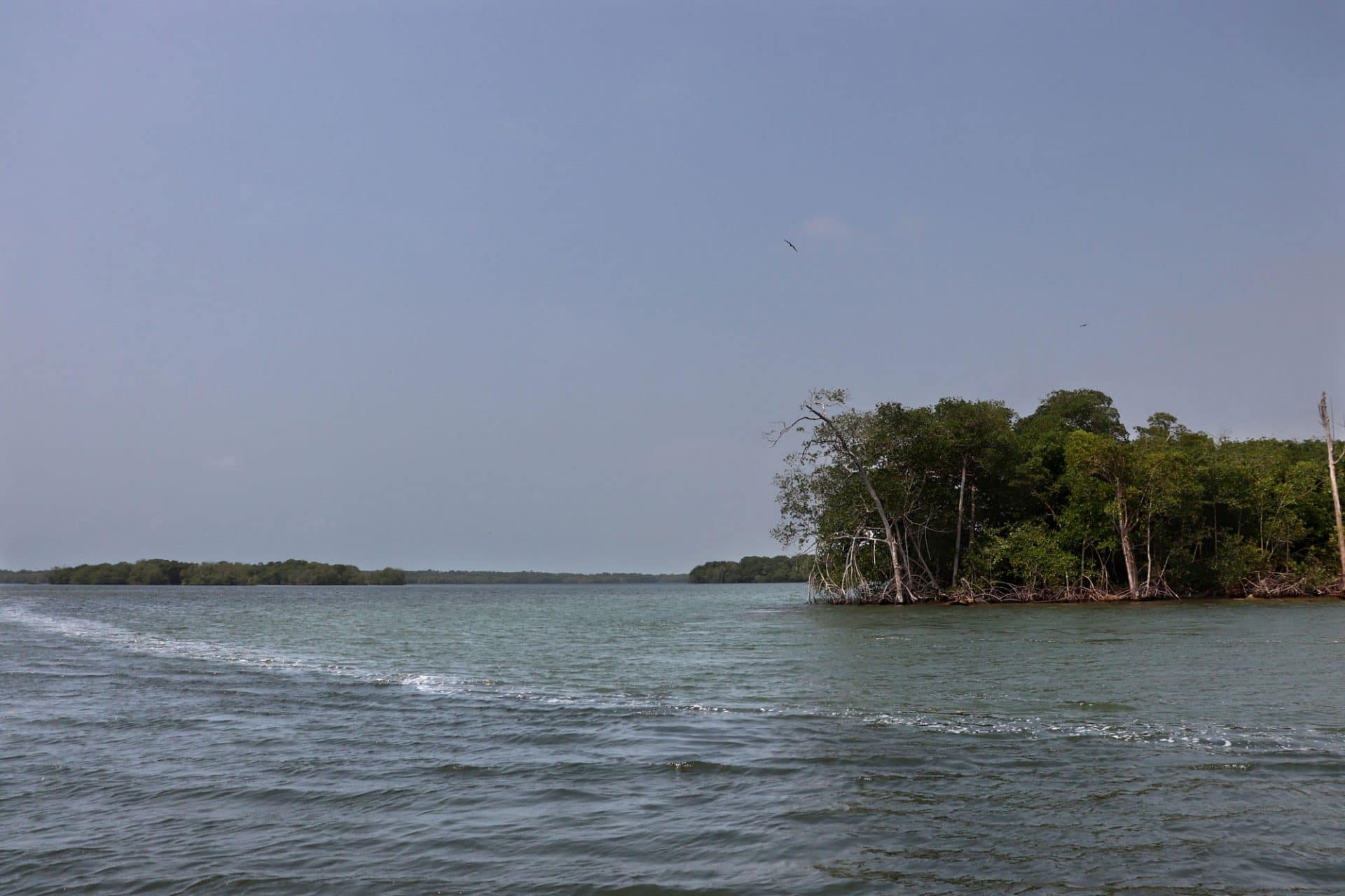 Necocli tiene magia Necocli tiene magia